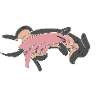 NOT TODAY.