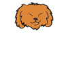 Cockapoo Dog Papa Cockapoo Dad