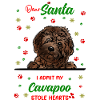Kavapoo Hund Weihnachten Hunderasse