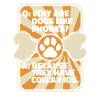 Dog trainer Dog trainer