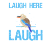 Kookaburra Design and Kookaburra Saying
