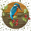 Bunter Vogel