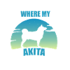 Akita