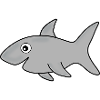 Requin Requins Pêche Poisson