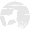 Akita