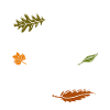 Autumn Is My Trainer 3