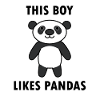 Panda Bear Wilderness Australia Outback