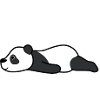 Panda australien, mignon animal sauvage,