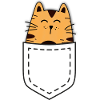 Cat in your pocket