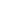 Magyar Vizsla "Black Edition"