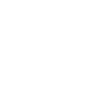Spider Spinne