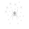 Spiders a whole family