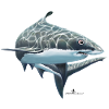 Haifisch mit Logo