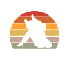 BJJ Brazilian Jiu-Jitsu