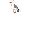 Ich muss nach Grömitz