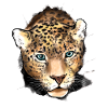 Hervor springender Leopard