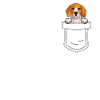 Beagle Gift Dogs