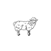 Sheep whisperer
