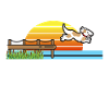 Dog Dock Diving