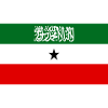 Somali land t shirt flags