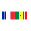 Sénégal et France Power 100 %