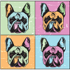 Bulldogs Image Abstract