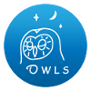 Owls - Night owl