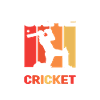 Cricket Pitcher