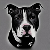 Dog best friend