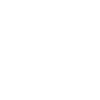 Surf Palm Surfing Surfers