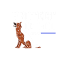 Protect Detect