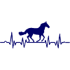 Horse riding enthusiast