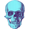 The skull is not dead