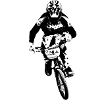 BMX-Rennen