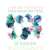 Humour message Guadeloupe