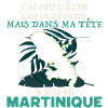 Message Martinique Idée Cadeau