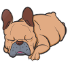 Sleeping French Bulldog Lazy