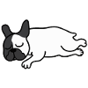 Sleeping French Bulldog Lazy