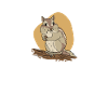 Chipmunk Rodent Gift