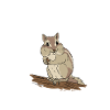 Cadeau de rongeur chipmunk