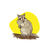 Cadeau de rongeur chipmunk