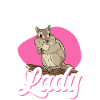 Chipmunk Rodent Gift
