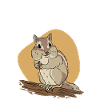 Chipmunk Rodent Gift