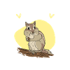 Cadeau de rongeur chipmunk
