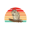Chipmunk Rodent Gift