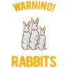 Rabbit Rabbit Rabbit Rabbit