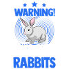 Rabbit Rabbit Rabbit Rabbit