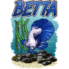 Betta Fischaquarium für Fischhalter