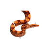 Boa Constrictor Géométrique