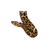 Propriétaire Python Birman Géométrique